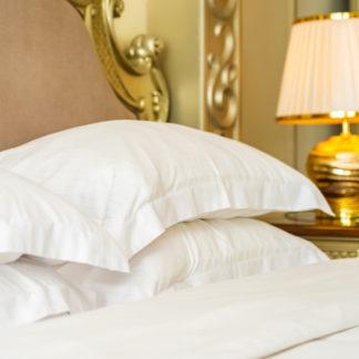Ventajas de dormir con una almohada de plumas - PLUMAS