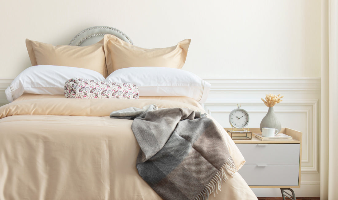 PLUMAS - EURO SHAMS