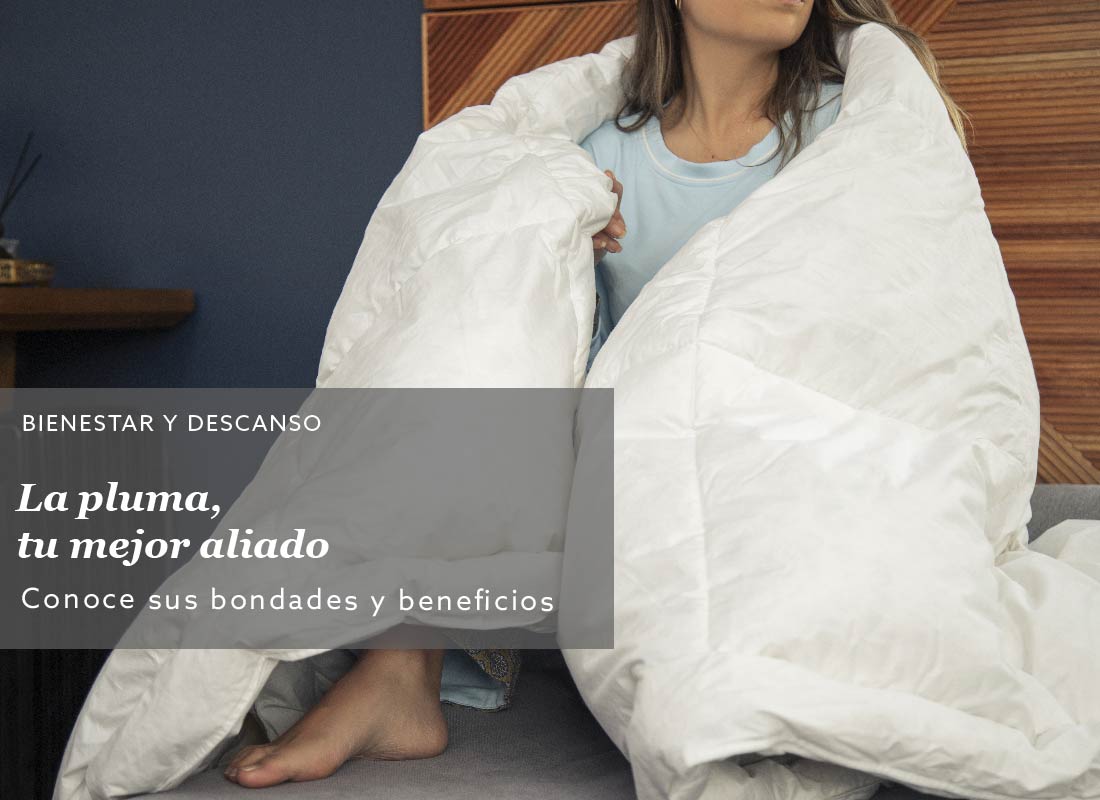 Las bondades y beneficios de la pluma, un aliado ideal para un descanso de calidad