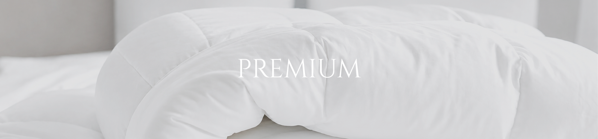 Plumones Premium