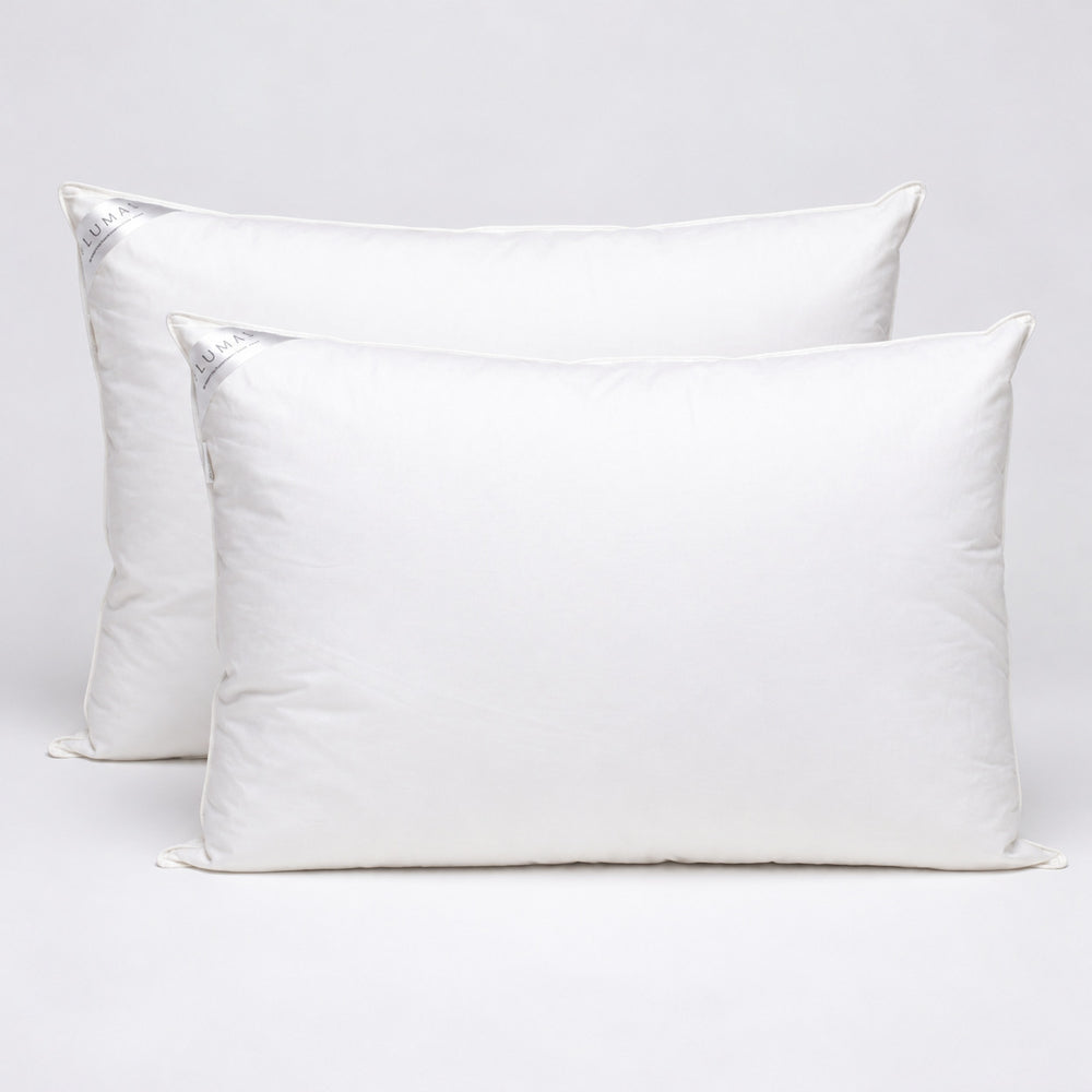 Set X2 Almohadas Plumas King 233H Premium - Blanco