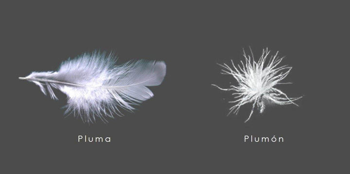 COJIN DE PLUMA CLASSIC- PLUMAS